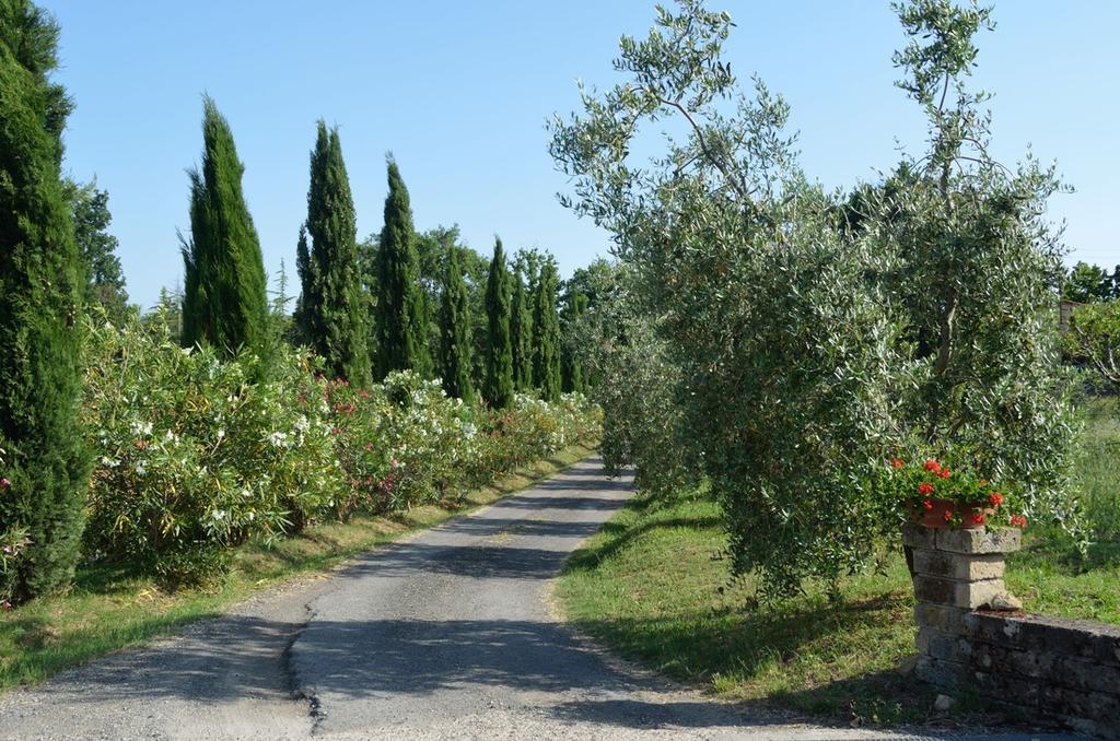 Agriturismo Rosa Dei Venti Pomarance Eksteriør billede